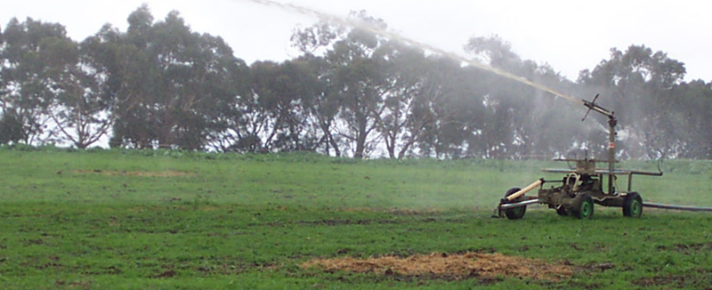 Boost pastures using effluent post image