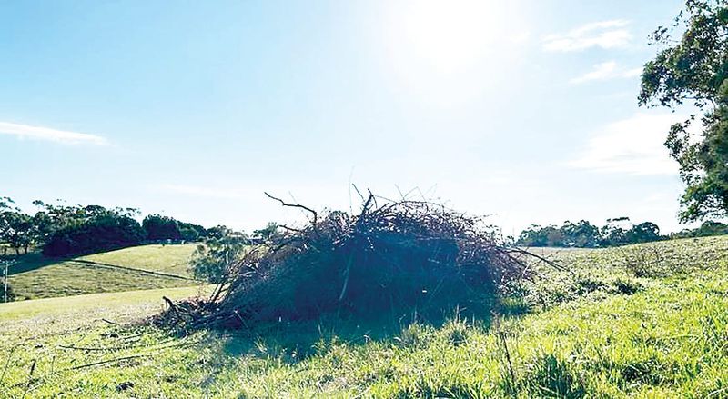 Burn piles can be a risk to stock post image