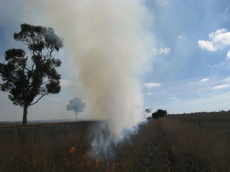 Ensure your burn-off is registered post image