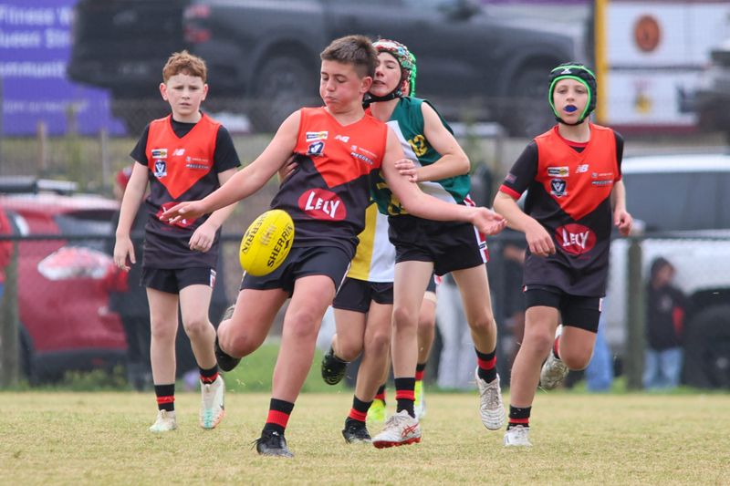 WDJFL Under 12s: Warragul vs Hallora - May 9 2026 post image