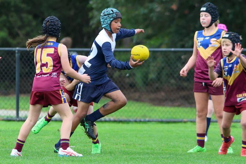 West Gippsland Juniors Under 10s: Warragul Blues vs Dusties - May 10, 2026 post image