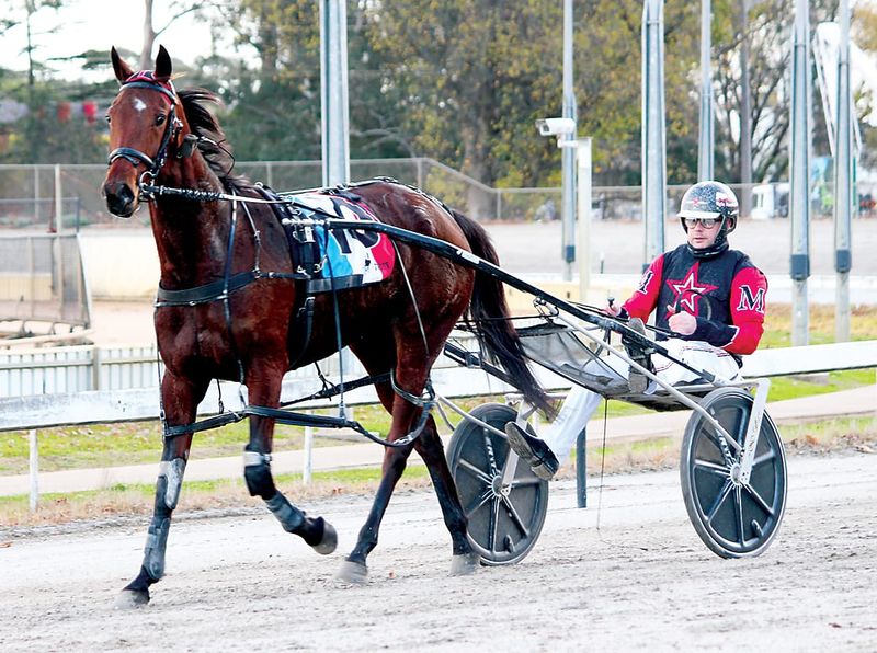 Warragul Pacing Cup set to stun post image