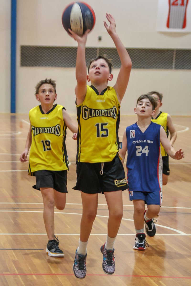 WDABA Under 12 D2: Chalkies Vikings vs Gladiators Trojans - May 22, 2026 post image