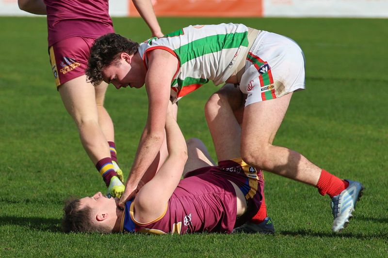 Seagulls swoop to defeat Dusties post image