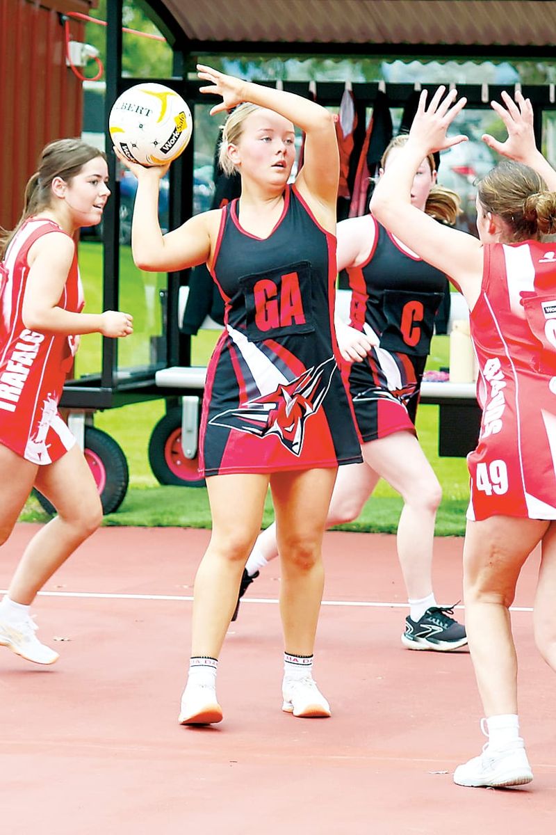 Cats continue unbeaten run post image