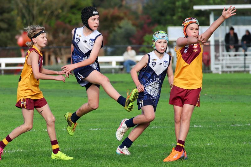 WGJFC Under 12 Mixed: Blues vs Drouin Gold - May 31, 2026 post image
