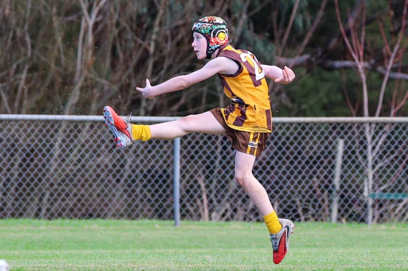 WGJFC Under 10 Mixed: Warranor vs Drouin Maroon - June 14, 2026 post image