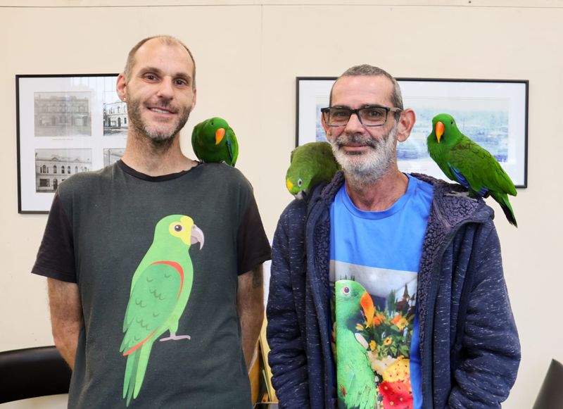 Birds bring joy post image