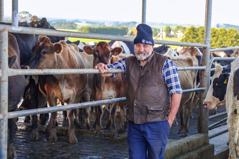Opening milk prices disappointing post image