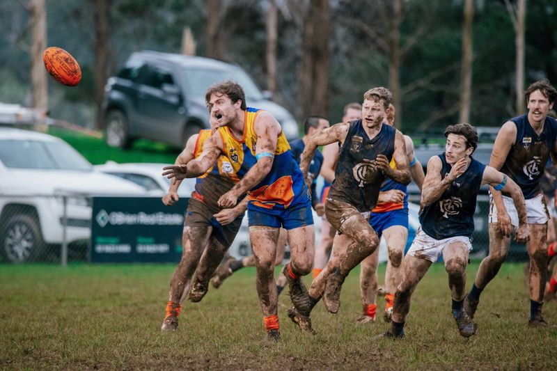 EDFNL Football Seniors: Ellinbank vs Catani - July 25, 2026 post image