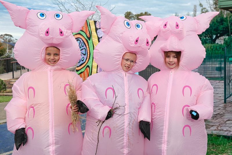 Columba PS Book Week post image