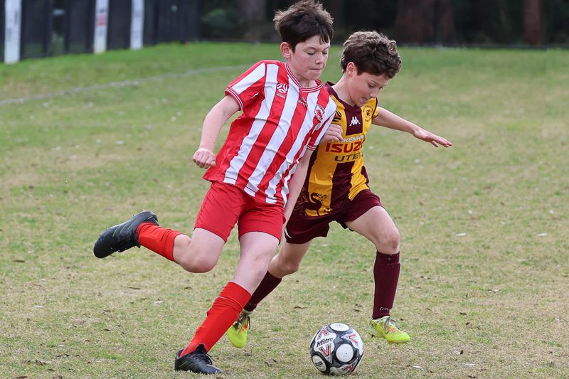 FV Gippsland Under 12s Drouin Dragons Maroon Yellow vs Trafalgar Victory - August 15, 2026 post image