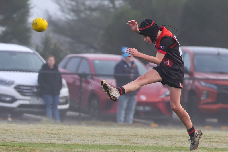 WDJFL Under 10 Mixed: Warragul vs Trafalgar - August 16, 2026 post image