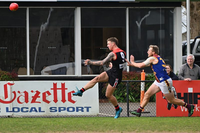 Lion surge stuns Gulls post image