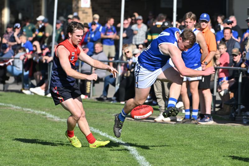 Blues bow out of finals post image