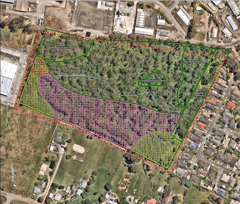 Drouin bushland reserve masterplan released post image