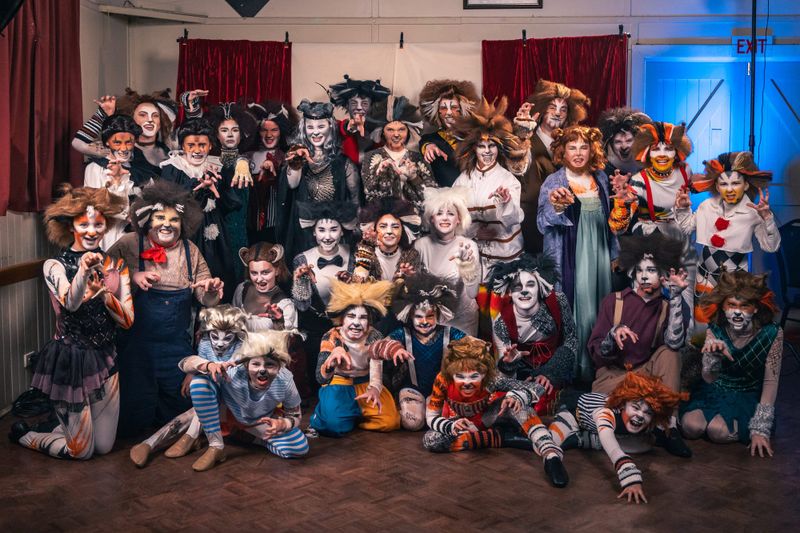 CATS slink back on stage post image