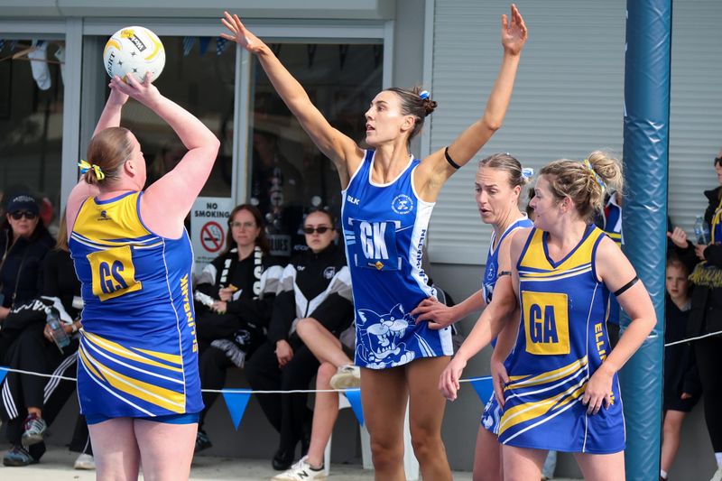 EDFNL Netball A Grade: Neerim-Neerim South vs Ellinbank - August 29, 2026 post image