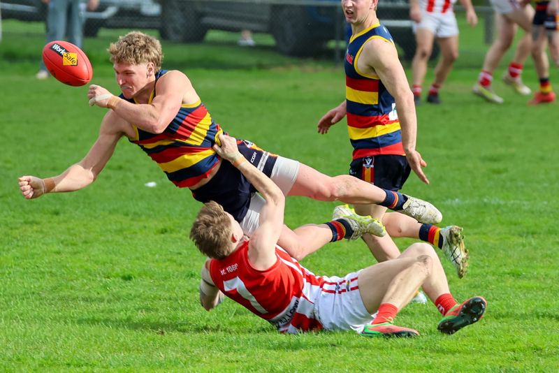 EDFNL Football Seniors: Longwarry vs Trafalgar - August 29, 2026 post image