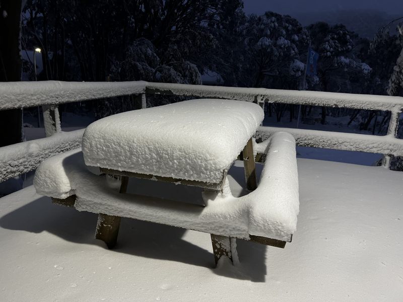 No business for snow business post image