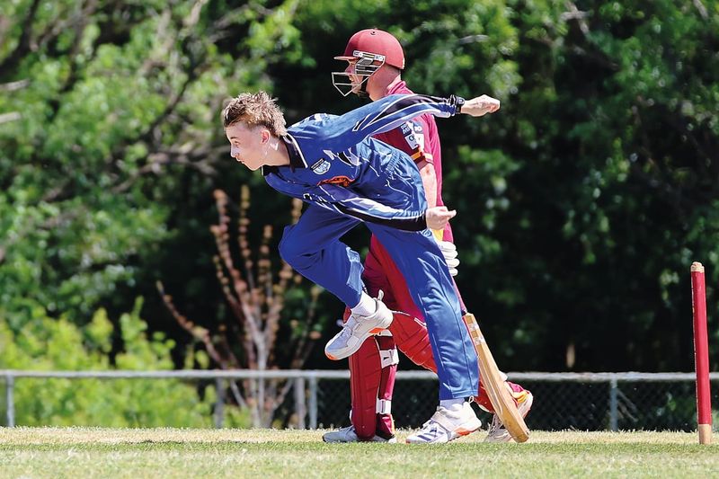 Cats continue charge in division one post image