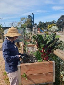 Posies and plant sale at community garden post image