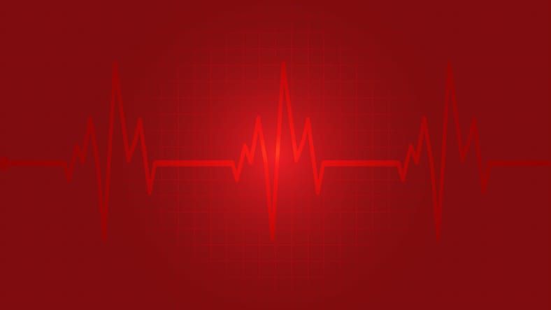 Adventures in Heart Rate Monitors... or that One Time I Went to Orange Theory Fitness