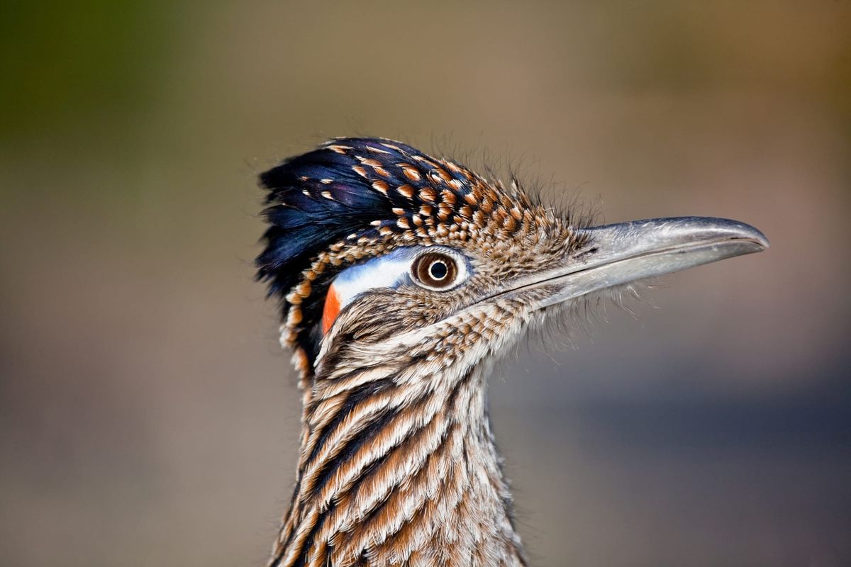 Technological Enhacements and Faith