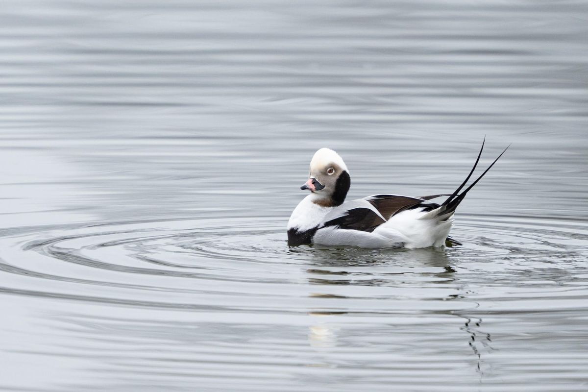 Unlearning, Unchanged