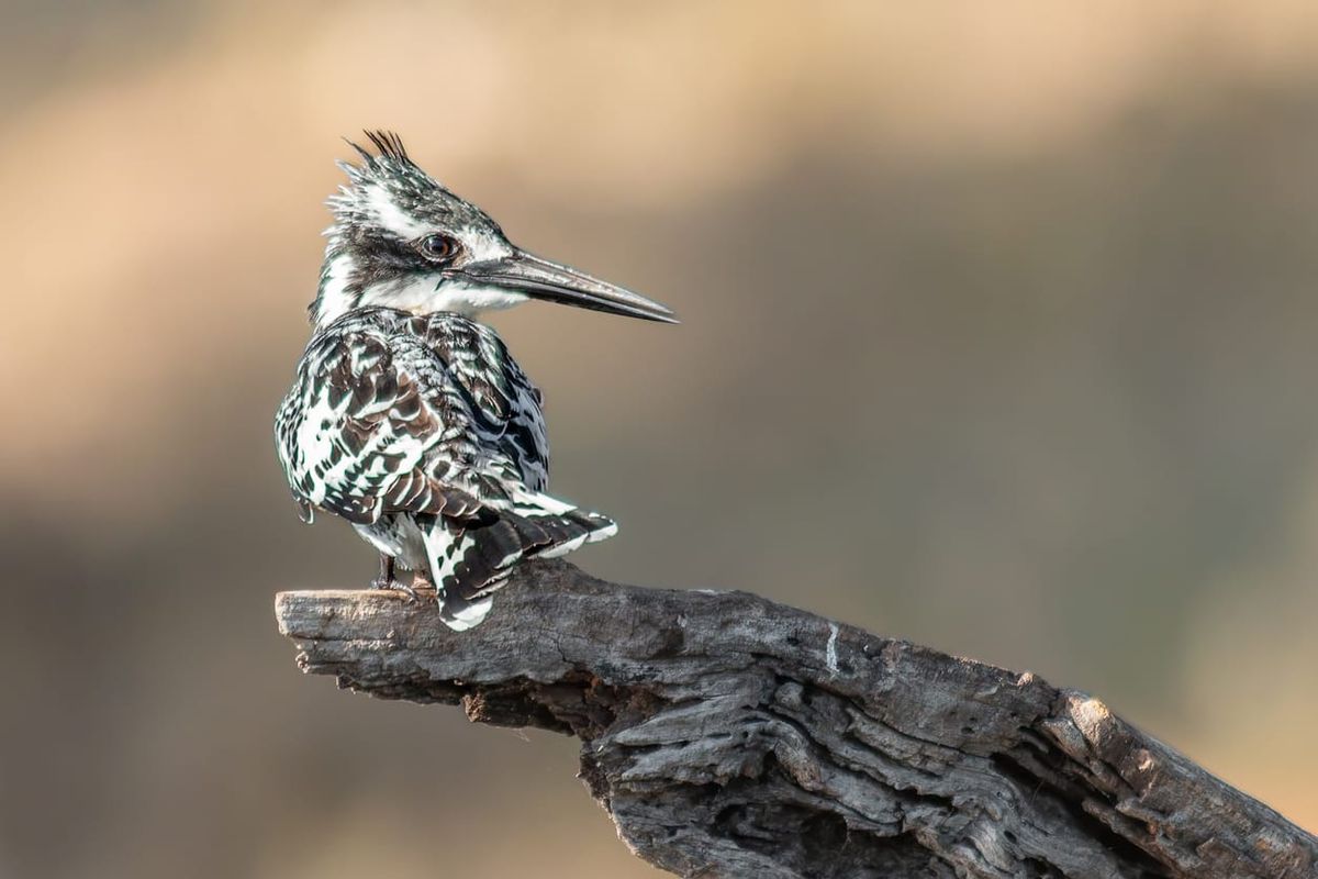 The Productivity Software Way of Thinking