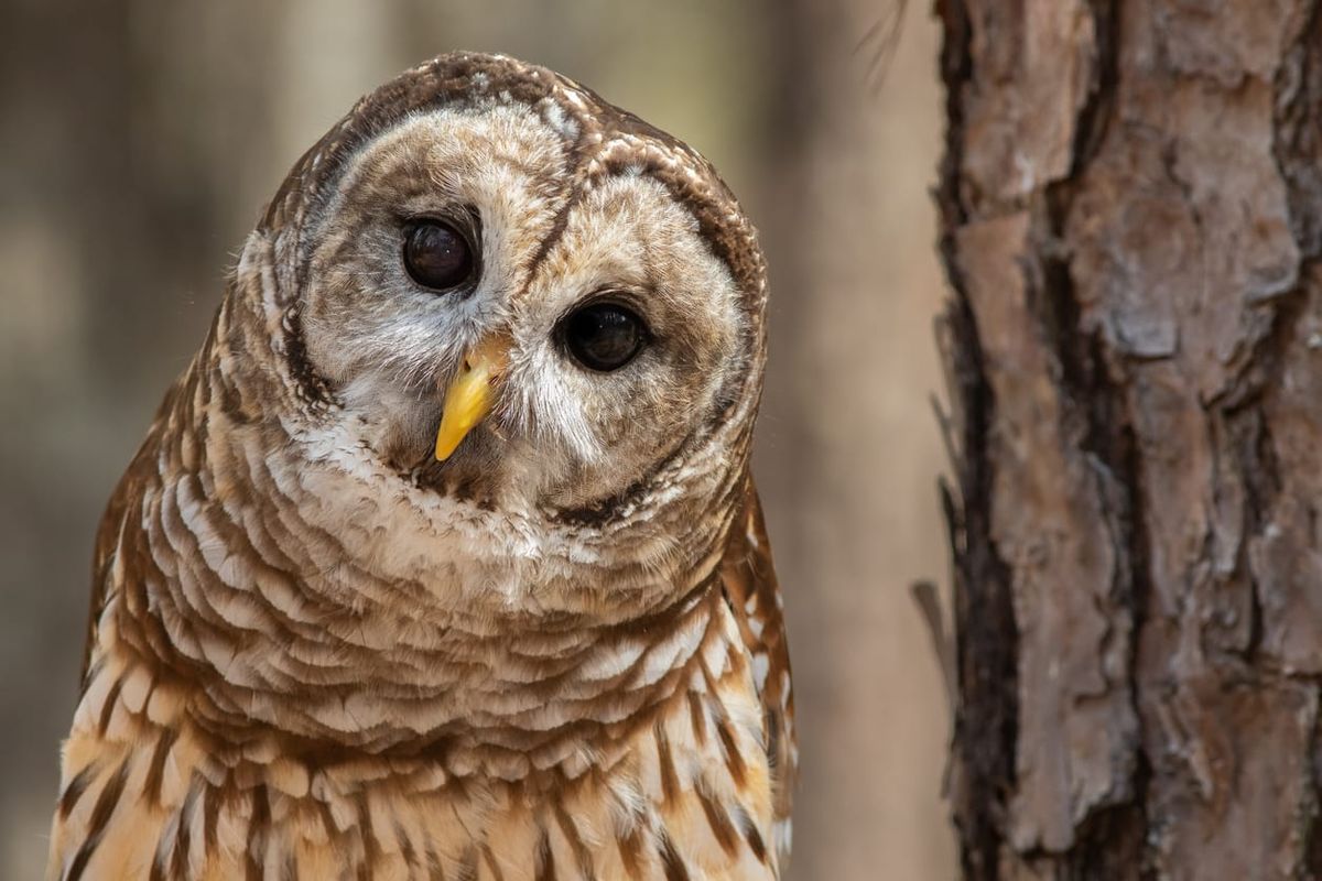 The People in Your Neighborhood