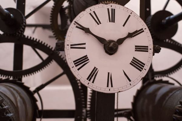 The Longevity Hustle (and Plans for Second Breakfast in 2024)