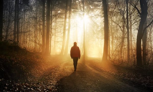 "The World Reveals Itself to Those Who Walk"