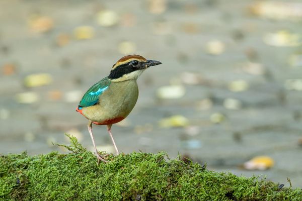 You Do Not, In Fact, Have to Hand It to Them