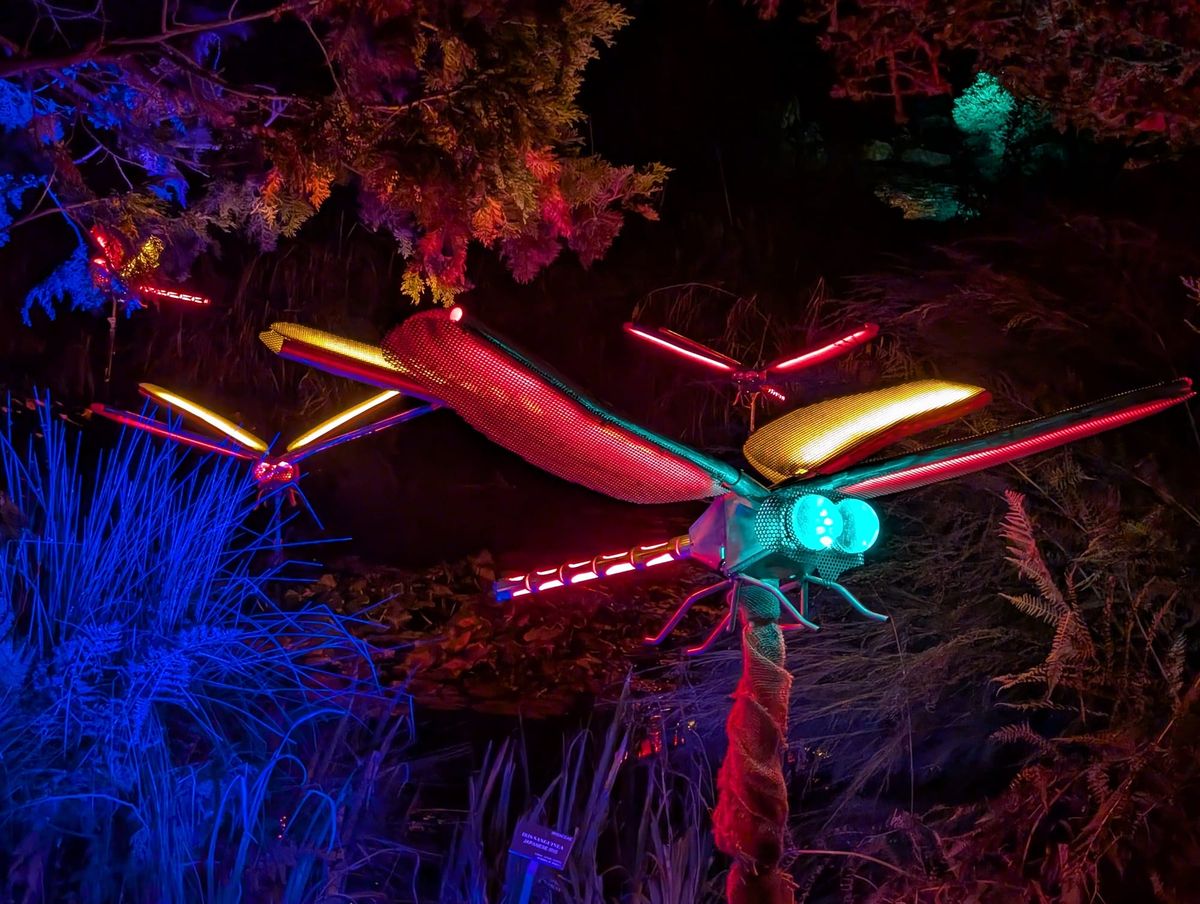 Newsletter November 2025 - In you must go