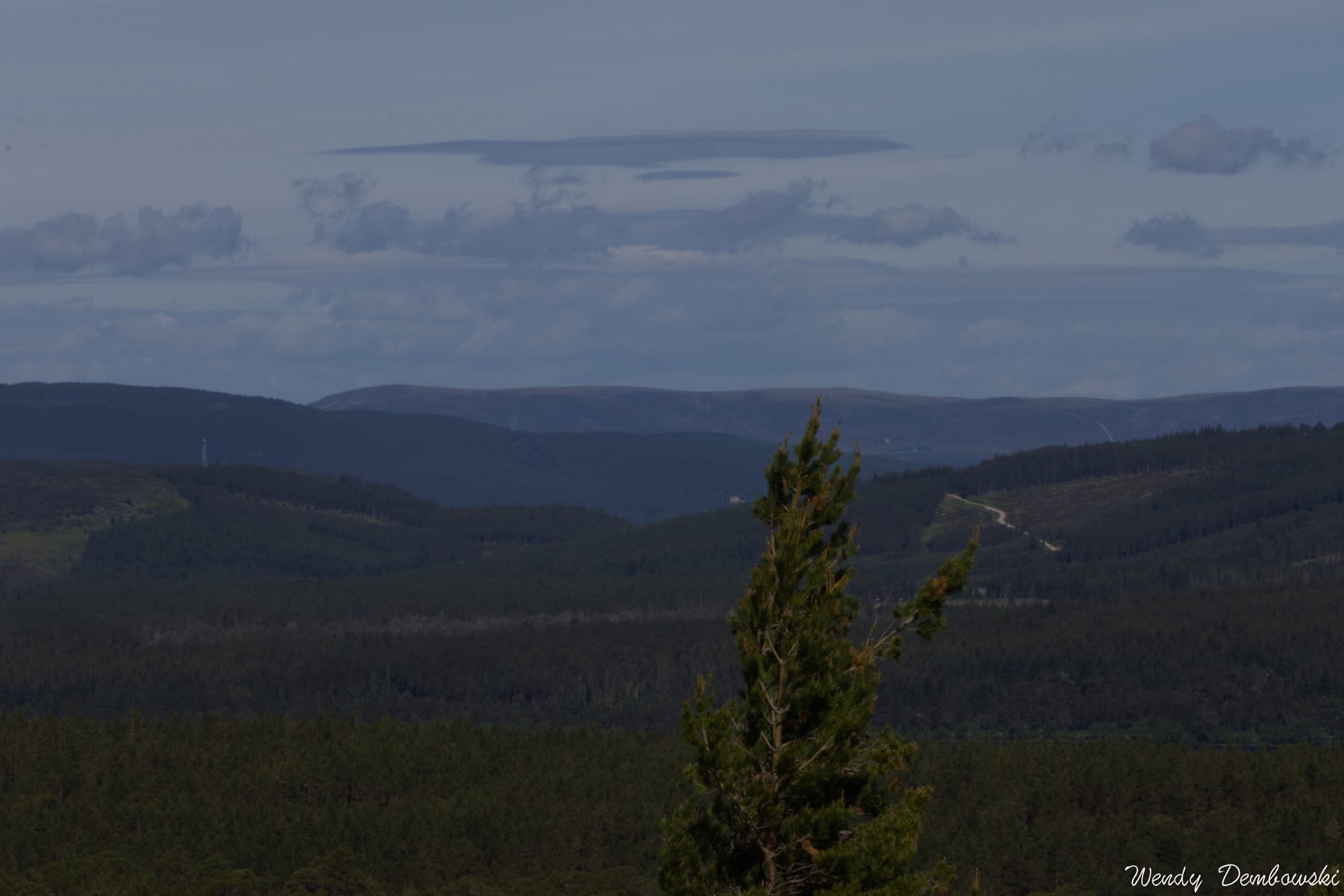 A view of mountains and clouds with the top of a nearby tree in the center right.