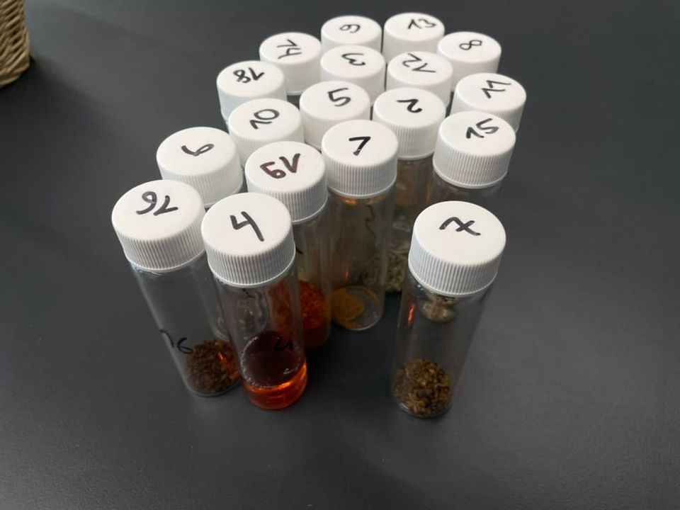 What Becoming a Beer Sommelier Has Taught Me About Everything (Part 1)