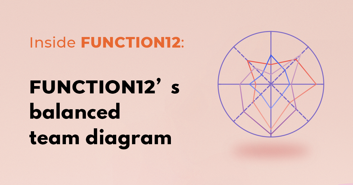 FUNCTION12’s balanced team diagram