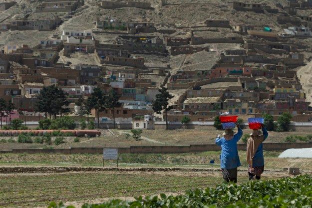 The road to a stable Afghanistan is through…the Pakistani countryside?