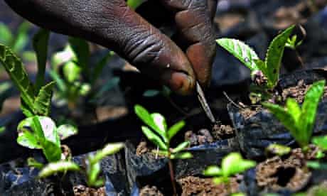 World Bank and UN carbon offset scheme 'complicit' in genocidal land grabs - NGOs