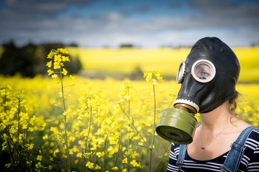 No scientific evidence of GM food safety