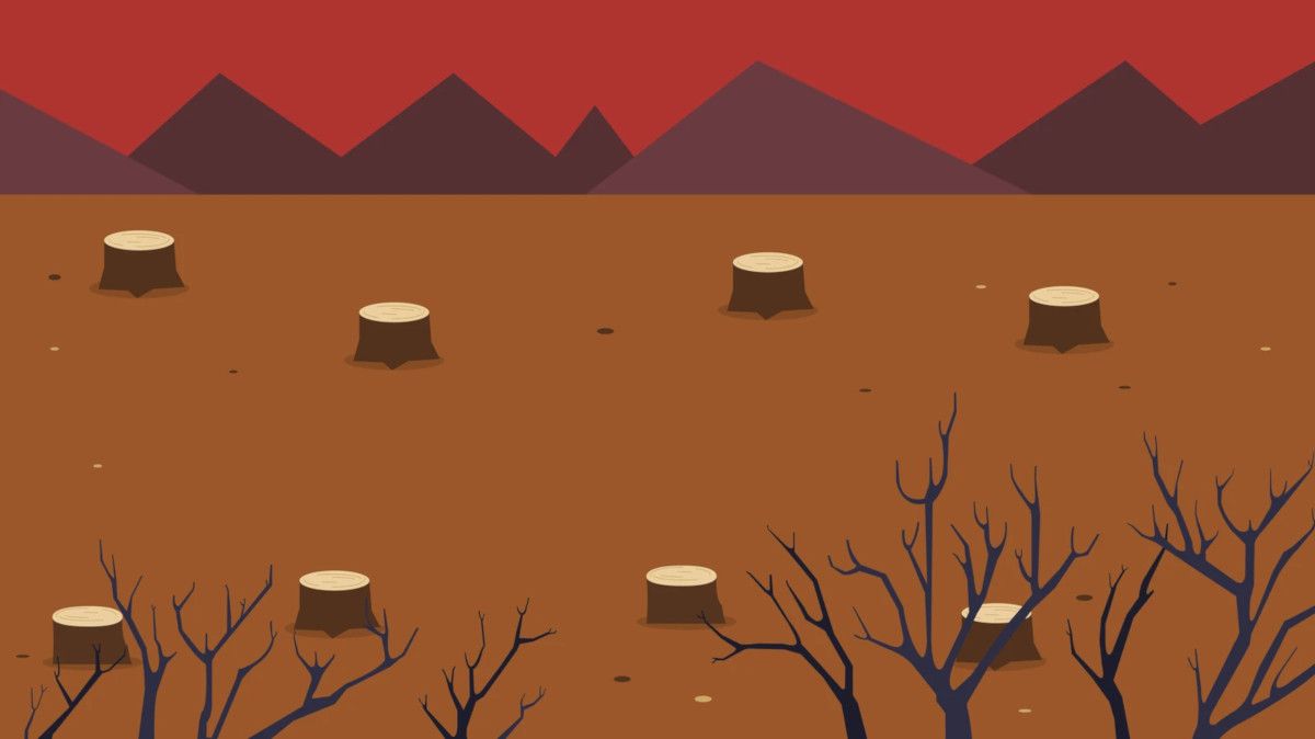 Western Industrial Farming Is Eating Our Forests and Accelerating Climate Change
