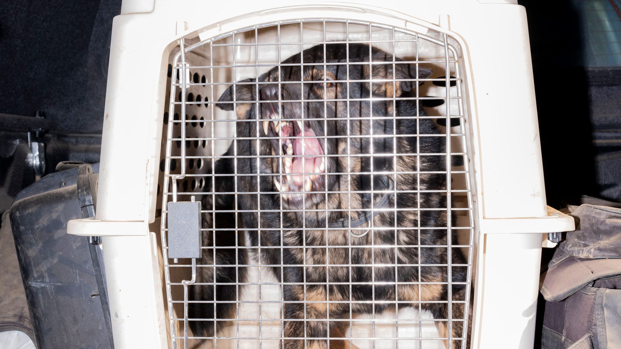 The alt-right has taken the political centre. It’s not too late to win it back