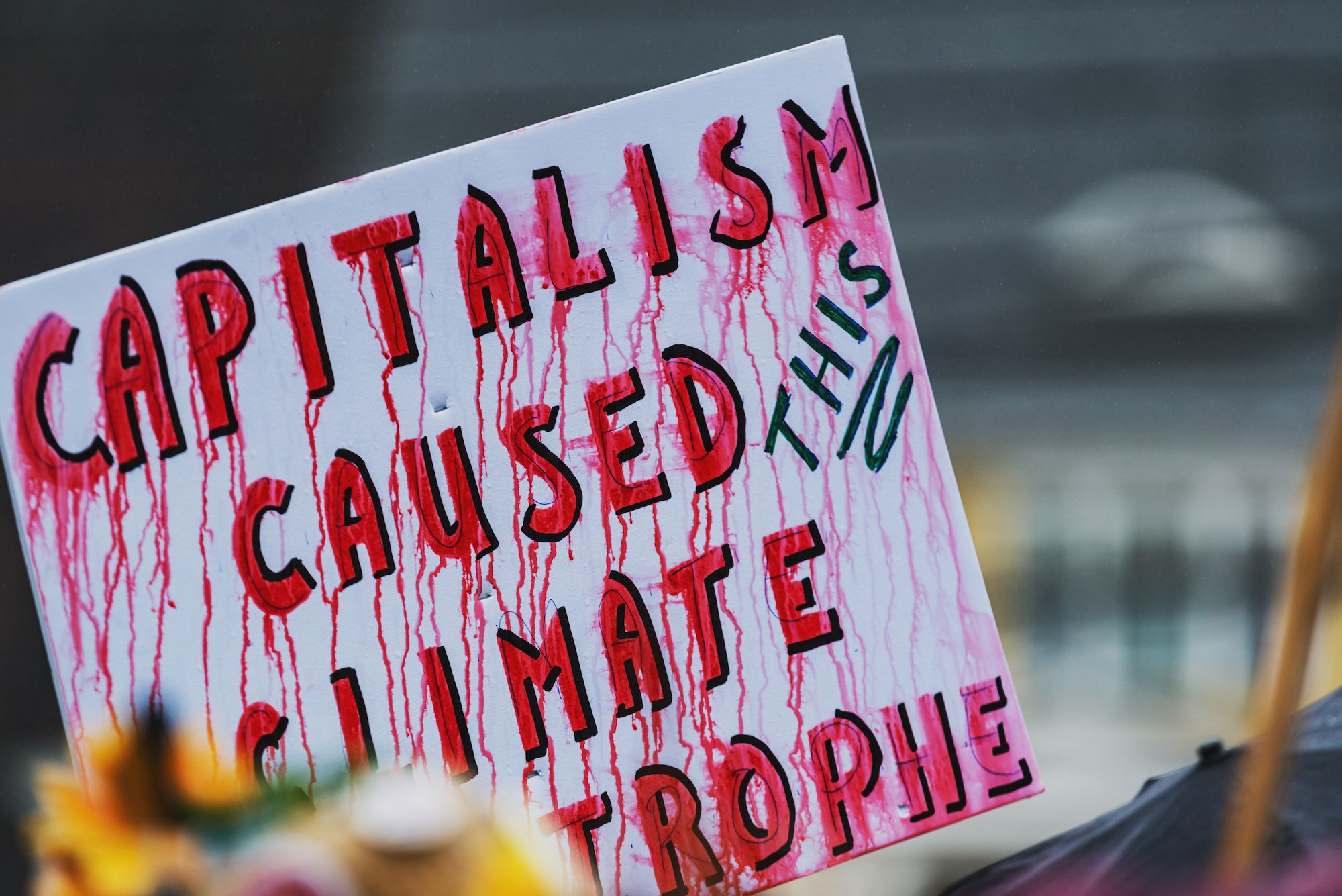 Capitalism Will Ruin the Earth By 2050, Scientists Say