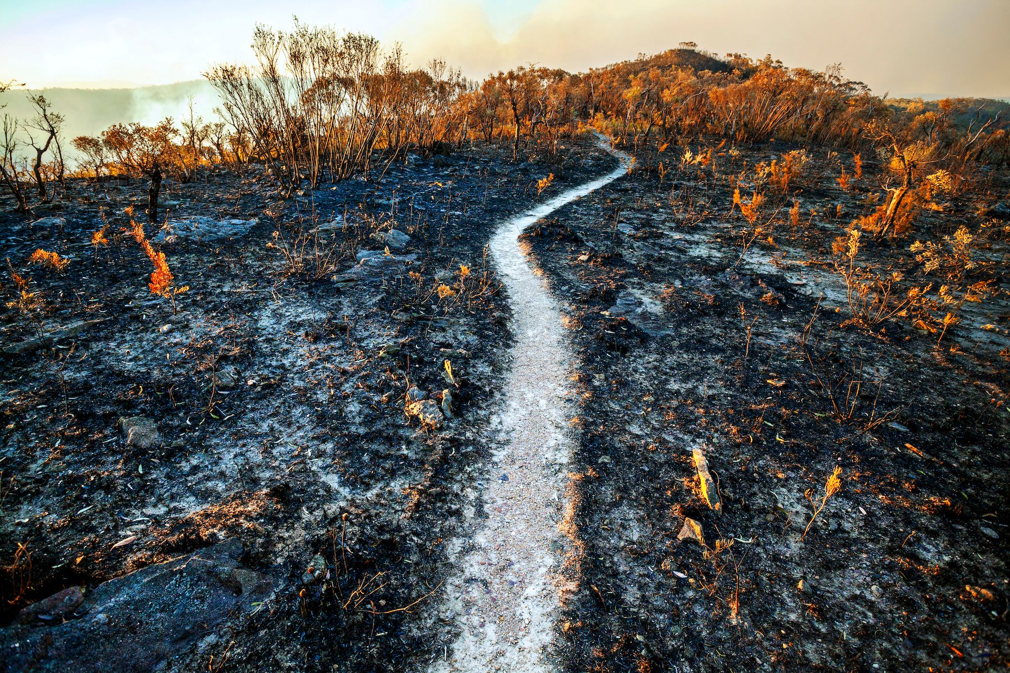 MIT Predicted in 1972 That Society Will Collapse This Century. New Research Shows We’re on Schedule.