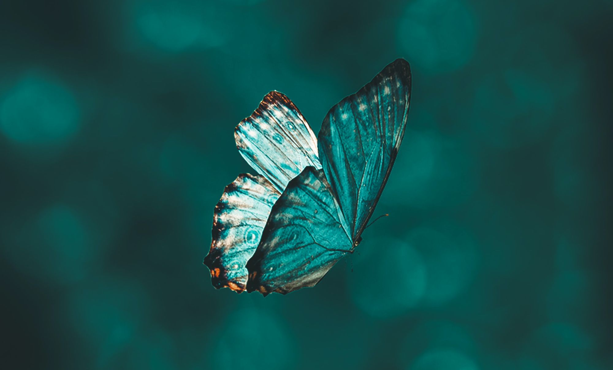 The Next Economy: Why the growth and degrowth debate misses the point