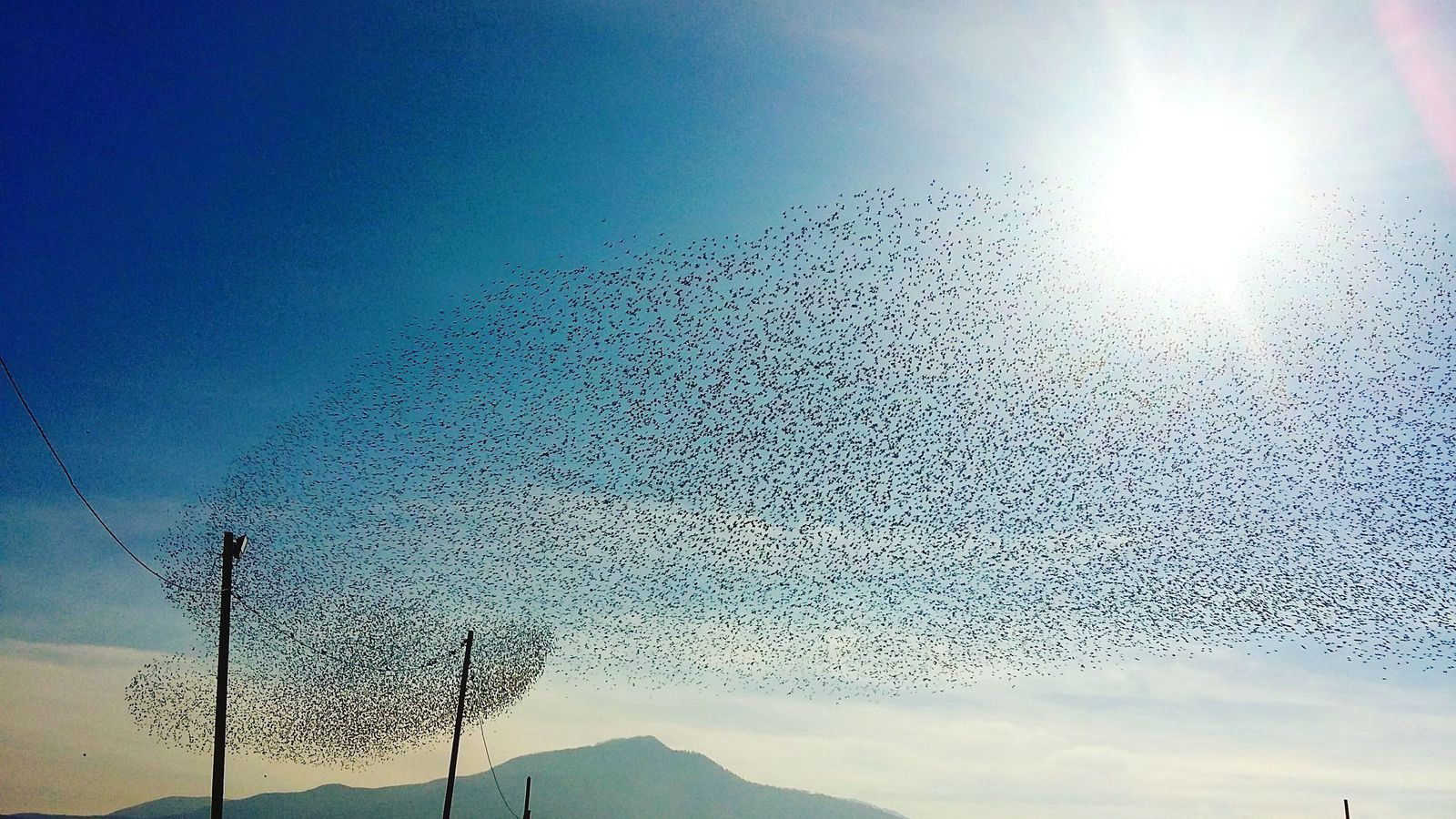 Only ‘collective intelligence’ can help us stave off an uninhabitable planet