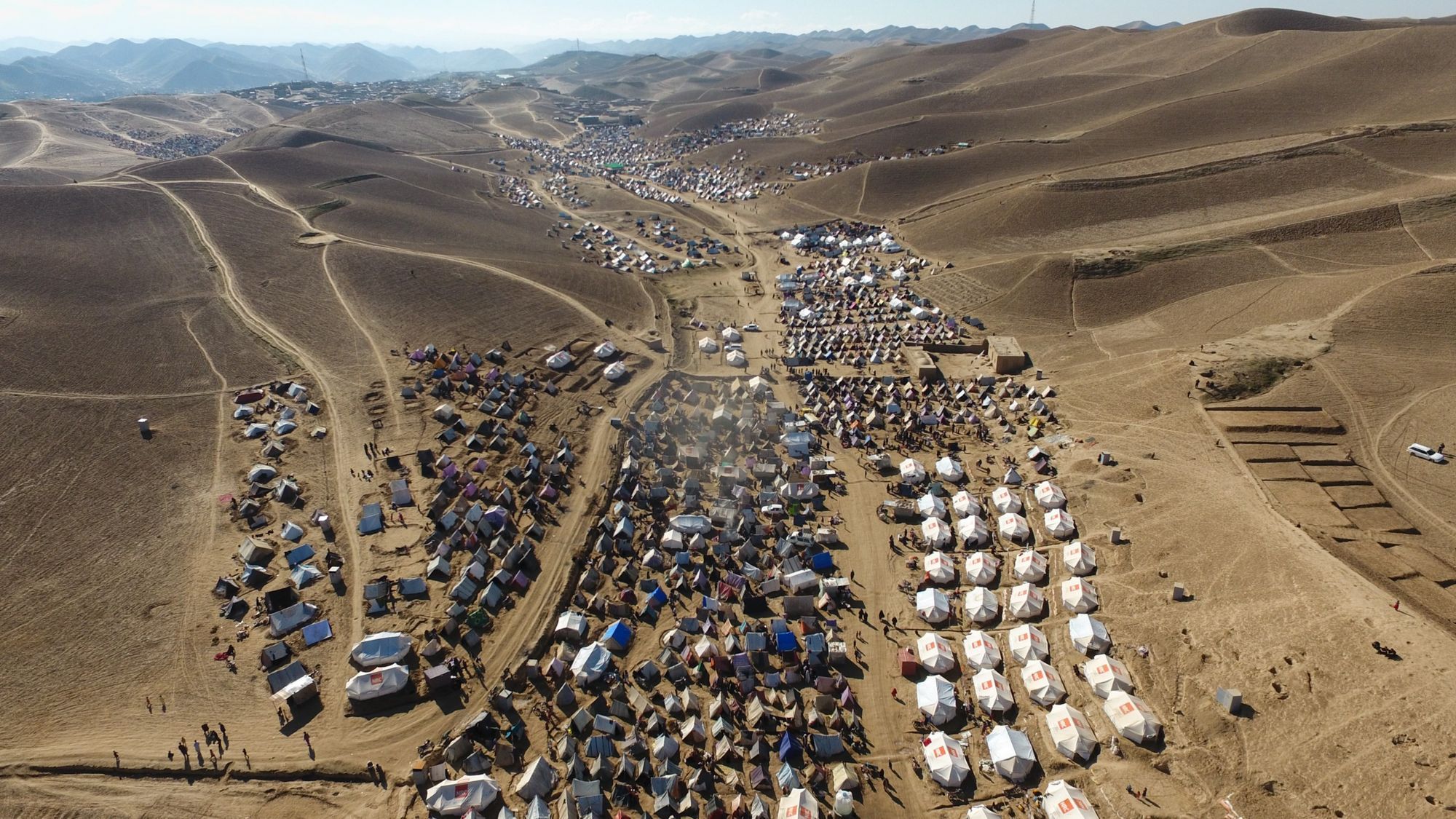 Escaping extinction through paradigm shift