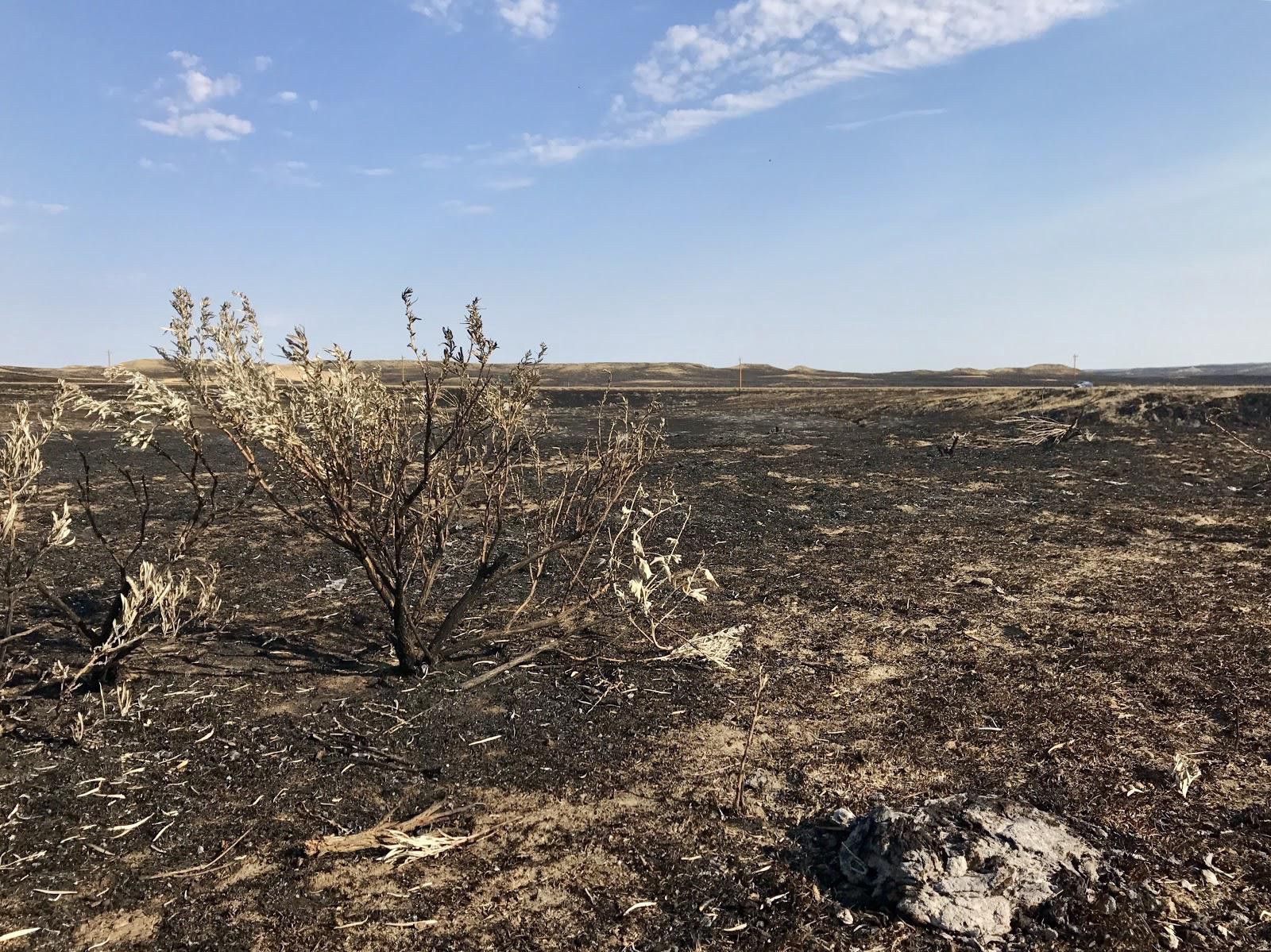 West’s ‘dust bowl’ future now ‘locked in’, as world risks imminent food crisis