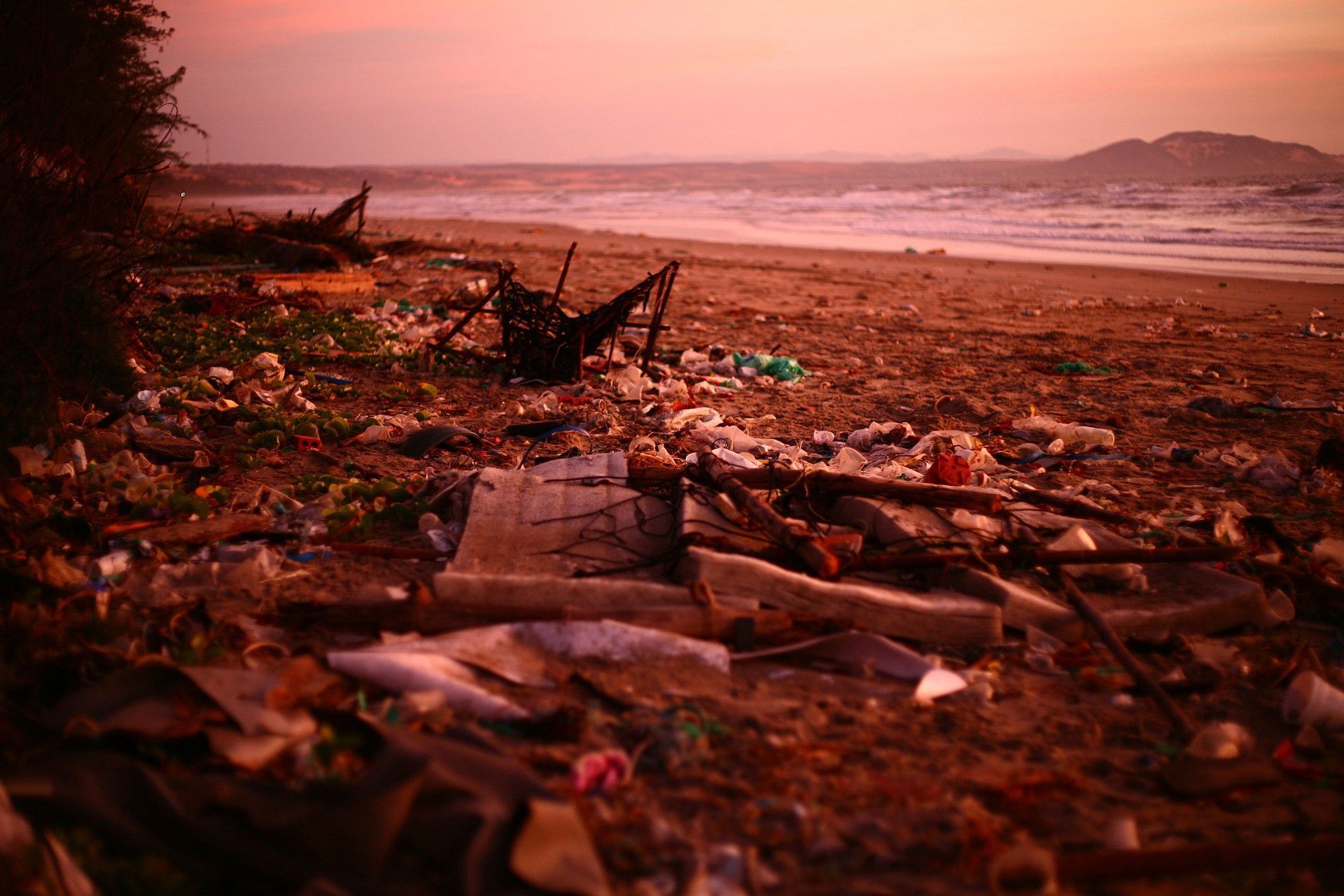 Green economic growth is an article of ‘faith’ devoid of scientific evidence